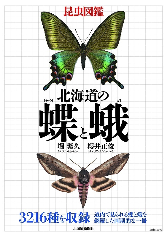 Butterfly: 毒蟲警報！